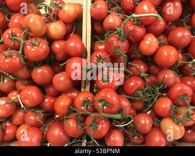 Greenhouse truss tomatoes for sale at a Coles supermarket in Sydney, Australia. Stock Photo