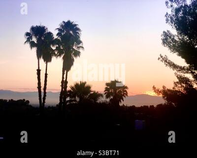 Sonnenuntergang über der Santa Monica Bergkette von Tarzana, CA im San Fernando Valley. Palmen und andere nicht-einheimische Vegetation gibt es in diesem gehobenen Viertel im Überfluss. Stockfoto