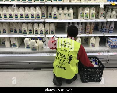 Ein Arbeiter im Supermarkt Coles hat während der COVID-19-Pandemie (Coronavirus) Milch aufgestochen und eine soziale Distanzweste getragen. Stockfoto