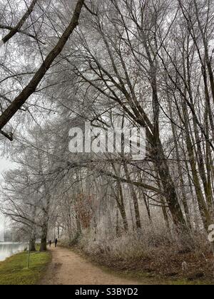 Bäume von Frost bedeckt auf einem Spaziergang rund um den Feringasee in München Bereich, Deutschland. Stockfoto