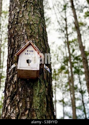 Vintage hölzerne Vogelhaus auf Kiefer Stockfoto