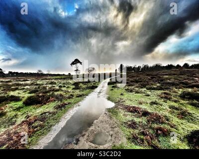 Öffentlicher Fußweg Sutton Heath Suffolk Stockfoto