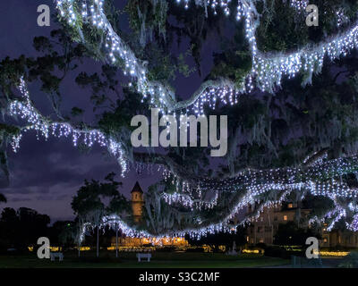 Eichen geschmückt mit Weihnachtslichtern für Holly Jolly Jekyll Christmas Celebration auf Jekyll Island, Georgi, USA. Stockfoto