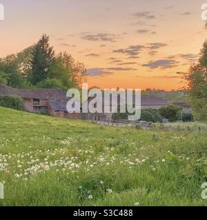 Idyllische Somerset Bauernhof eingebettet in sanften Gänseblümchen bedeckten Hügeln Der Sommer bei Sonnenuntergang Stockfoto