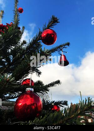 Weihnachtsbaum im Freien mit leuchtend roten Weihnachtskugeln und Kopie Platz Stockfoto