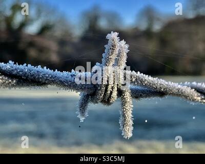 Frost und Eiskristalle auf Stacheldraht an einem Wintermorgen im kalten Greenham, Somerset England Stockfoto