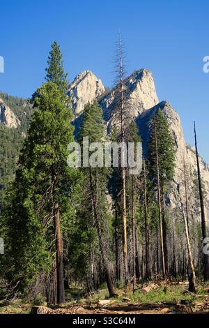 Die drei Brüder Felsformation im Yosemite Nationalpark von einer Wanderung entlang des Merced Flusstal an einem hellen klaren sonnigen Herbsttag, Kalifornien USA genommen Stockfoto