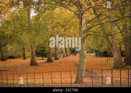 Leerer Battersea Park im Herbst mit Zaun Stockfoto