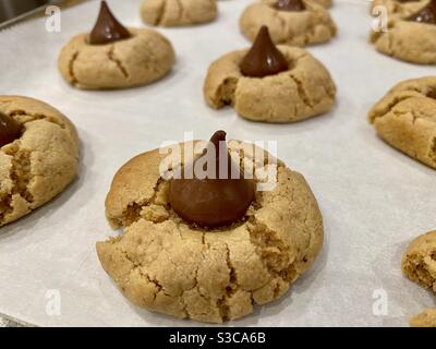 Erdnussbutter Blütenplätzchen auf einem Backblech frisch aus Der Backofen Stockfoto