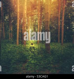 Ein verlorener Junge in einem verzauberten Wald mit goldenem Sonnenlicht Undicht durch die üppig grüne Baumkrone Stockfoto