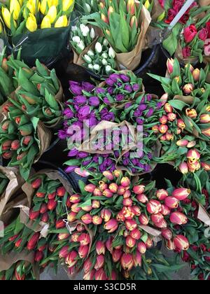 Bunte Tulpen in einem Lebensmittelgeschäft. Stockfoto