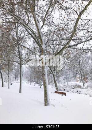 Schneefall. El Retiro Park, Madrid, Spanien Stockfoto