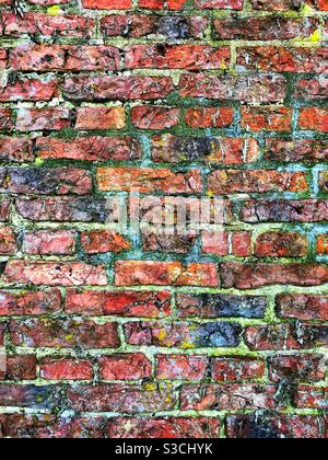 Abgenutzte und verwitterte rote Ziegelwand mit buntem Moos Ein strukturierter Hintergrund mit Kopierbereich Stockfoto