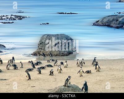 Hier ist eine malerische Aussicht auf die südafrikanische Pinguinkolonie von Boulders Beach, ein glattes blaues Meer, riesige Felsen und Pinguine, die am Ufer spielen. Stockfoto