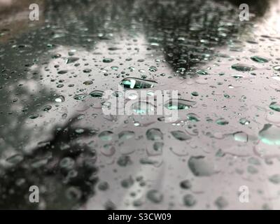 Regentropfen auf der Windschutzscheibe reflektieren grüne Bäume Stockfoto