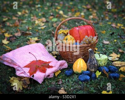 Stillleben im Herbst: Holzkorb, Früchte, Kürbisse und rosa Schal auf dem Boden platziert Stockfoto