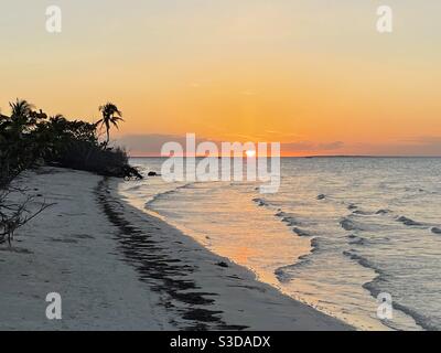 Sonnenuntergang an einem natürlichen topischen Strand in Mexiko (Holbox Insel) Stockfoto