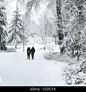 Ein paar Spaziergänge durch den Park während des Schneesturms in Issaquah, WA Stockfoto