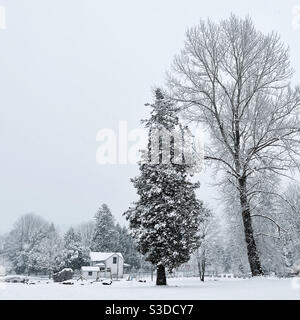 Confluence Park in Issaquah, WA, unter Schneedecke Stockfoto