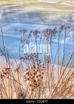 Weiche Farbschichten auf einem eisbedeckten Fluss im Winter. Stockfoto