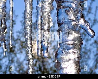 Eiszapfen im Morgenlicht Stockfoto