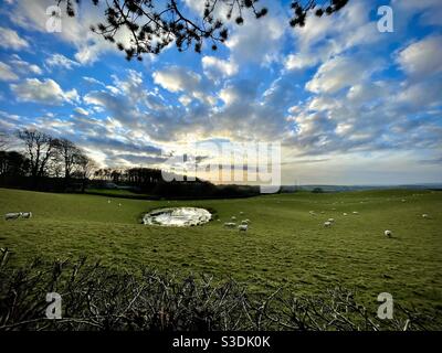 Blick über ein Schaffeld im Tal von Glamorgan, bei Sonnenuntergang, Februar. Stockfoto