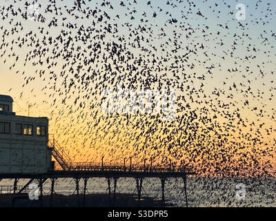 Aberystwyth, West Wales, Großbritannien. Sonntag, 28th. Februar 2021. Wetter: Ein wunderschöner Sonnenuntergang und Tausende von Staren murren um den Pier herum, was für ein Anblick! Bildnachweis ©️ Rose Voon / Alamy Live News. Stockfoto