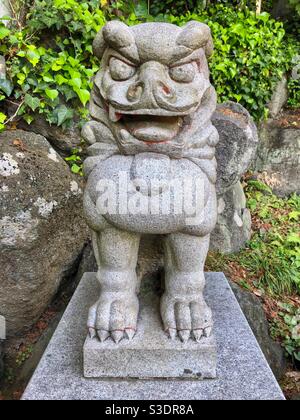 Japanische Löwenhund-Steinstatue genannt Komainu in einem der shinto-Schreine in Kamakura. Stockfoto