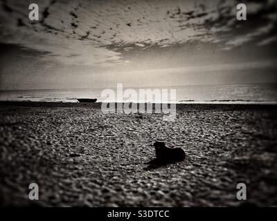 Schwarzer streunender Hund sitzt am Strand Stockfoto