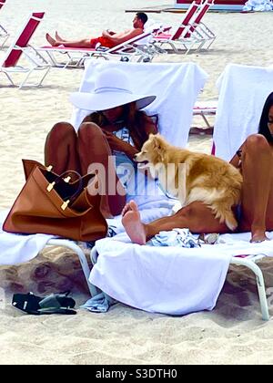 Ein flauschiger blonder Hund sitzt auf dem Schoß einer Frau auf einem Strandliegen im Sand in Miami South Beach, Florida, USA Stockfoto