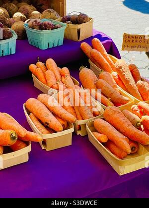 Riesige, lokal angebaute orangefarbene Karotten und Rüben in kleinen Körben auf einem violetten Tischbezug mit einem handbedruckten Schild an einem Gemüsestand im Union Square Farmers Market, Manhattan, NewYork, USA. Stockfoto