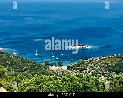 Ithaka Insel kleiner Strand mit Olivenbäumen für Segelboot Ankerplatz in der Straße von Ithaka übersät. Stockfoto