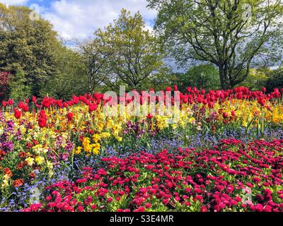 Botanische Gärten, Belfast, Nordirland Stockfoto