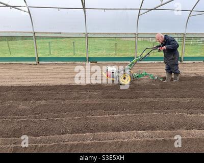 David Helme, in seinem 80s trägt Overalls, noch arbeiten und aktiv und beschäftigt in seinen älteren Jahren, rotovating und Rinnen der Erde in seinen Polytunnels bereit für die Kartoffel-Pflanzung. Stockfoto