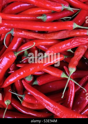 Rote Chilischoten Stockfoto