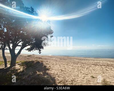 Eine Szene an einem Strand mit goldenem Sand und blauem Meer, mit Sonnenstrahlen, die durch die Äste eines grünen Baumes gehen. Stockfoto