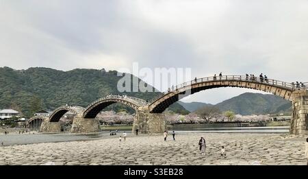 Kintai-Brücke, eine historische Brücke über den Nishiki-Fluss in Iwakuni, Yamaguchi, Japan, während der Saison der Coronavirus-Sakura-Kirschblüte 2021 Stockfoto