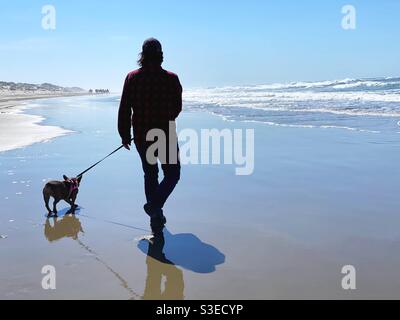 Ein Mann, der an einem Strand mit einer französischen Bulldogge herumläuft. Stockfoto