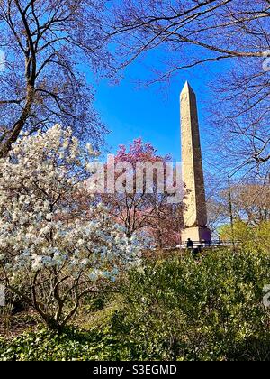 Blühende Bäume im Central Park NYC Stockfoto