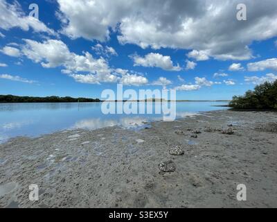 Weitwinkelansicht von Schlammflattern bei Ebbe - Pumicestone Passage, Queensland, Australien Stockfoto