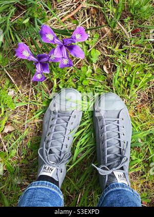 Blickfeld Blick auf die Füße, trägt nichts Neue Schuhe aus recycelten Wasserflaschen, im Gras und neben violetten Blumen. Stockfoto