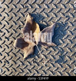 Frostbedecktes Platanenblatt auf gemustertem Metallsteg. Stockfoto