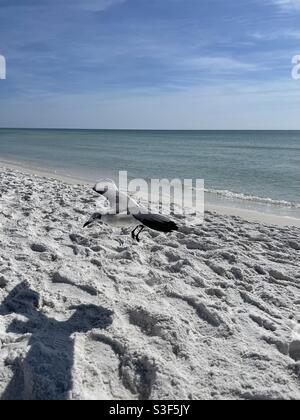 Möwe kommt für eine Landung auf weißem Sand Florida Strand Stockfoto