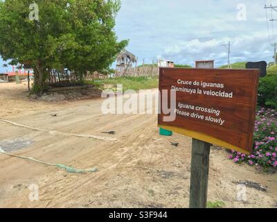 Schild Iguana Crossing auf Isabela Island, Galapagos Islands, Ecuador Stockfoto