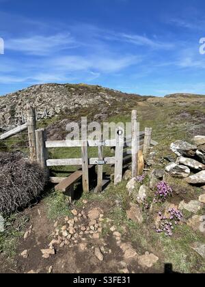 Stile auf einem Fußweg Stockfoto