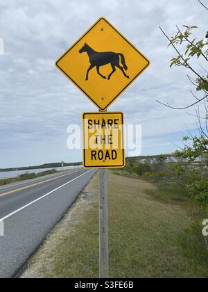 Straßenschild auf Assateague Island warnt Fahrer, die Straße mit Pferden zu teilen. Stockfoto