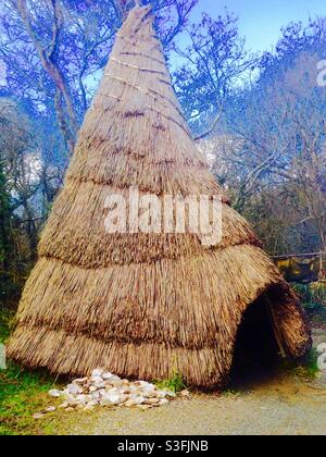 Irish National Heritage Park - Erholung des alten Campingplatzes. Strohgedeckte Hütten, inspiriert von archäologischen Ausgrabungen auf Mount Sandel, County Derry. Hütten wären aus Ästen, Schilf und Schlamm gemacht worden Stockfoto