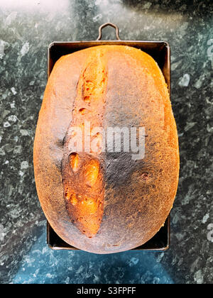 Selbstgekochtes Weißbrot noch in der Brotdose Stockfoto