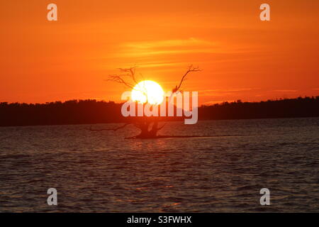 Everglades Sonne untergegangen. Stockfoto