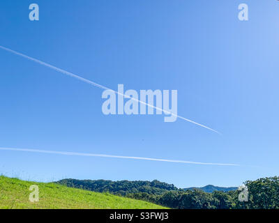 Zwei Düsenkontrainis am blauen Himmel mit Bäumen und Gras darunter Stockfoto